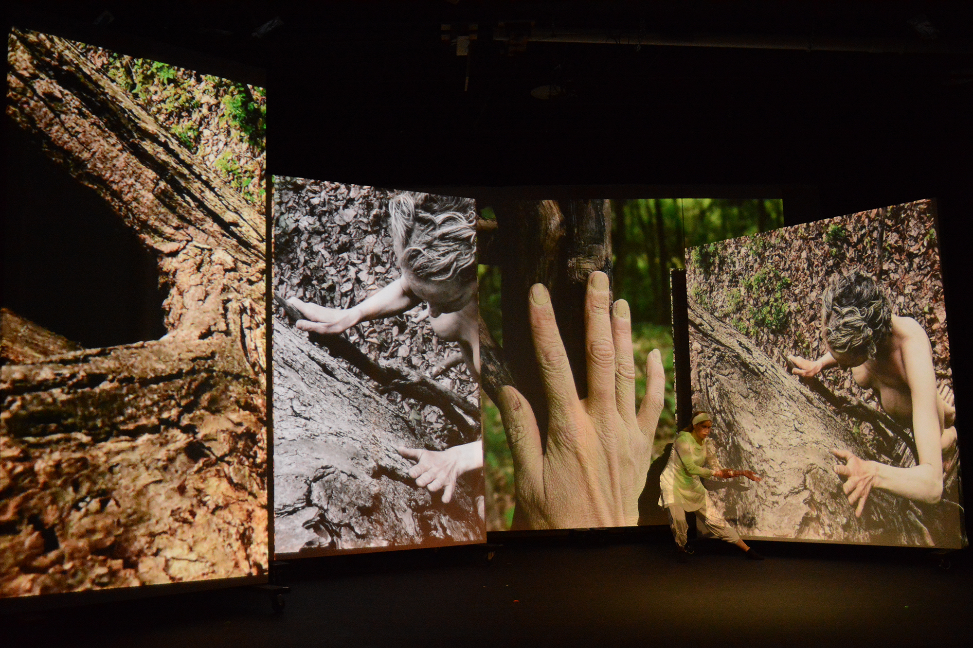 Projection Design & Video Installation